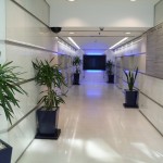 Yucca Plants in Foyer